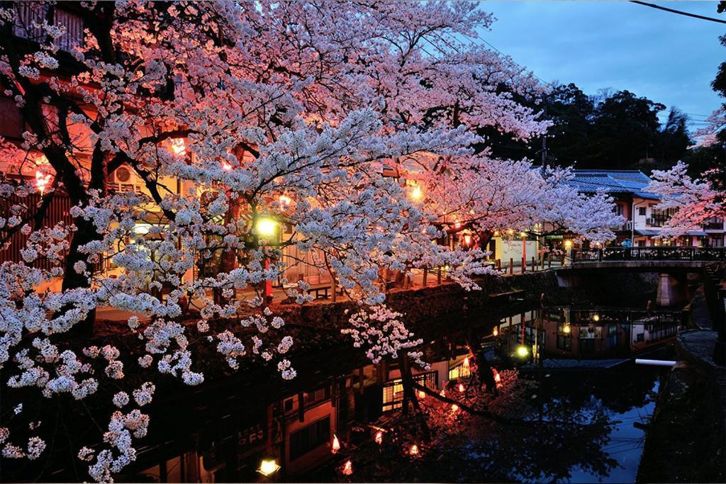 Oyado Seri Toyooka (Hyogo) Exterior foto